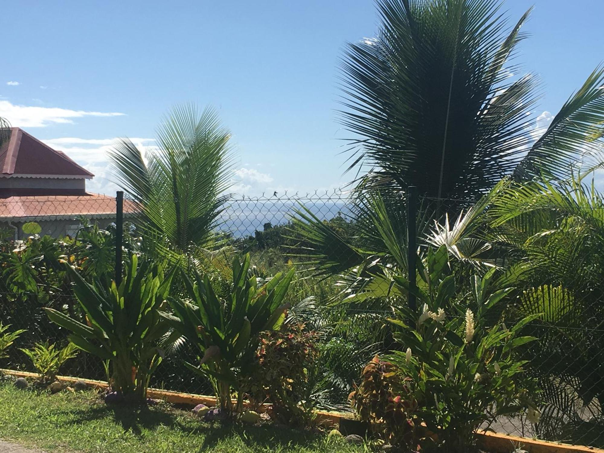 Villa A Rabica - Extrait De Cafe Pointe-Noire Dış mekan fotoğraf