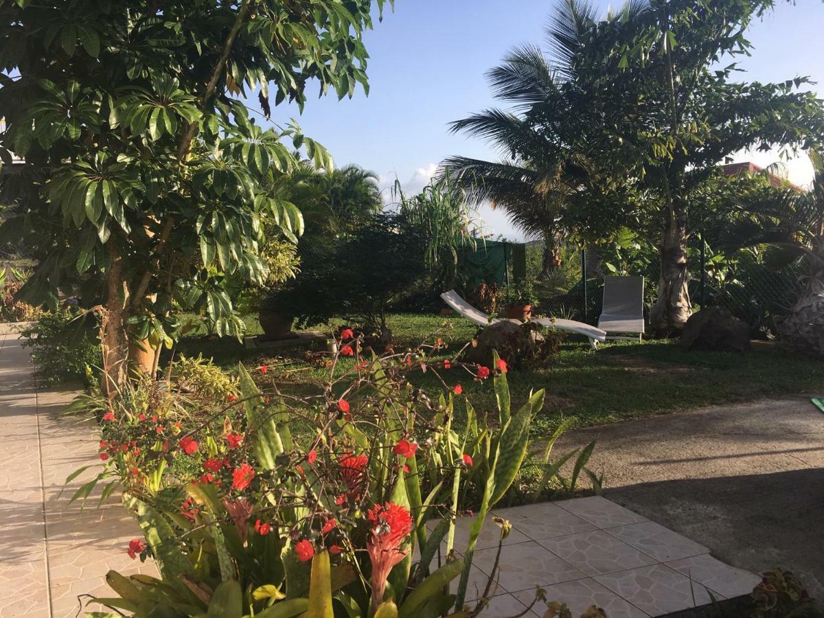 Villa A Rabica - Extrait De Cafe Pointe-Noire Dış mekan fotoğraf